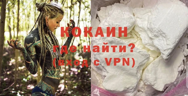 хмурый Верея