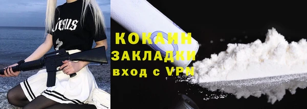 хмурый Верея