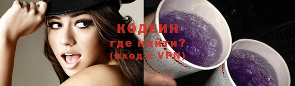 хмурый Верея