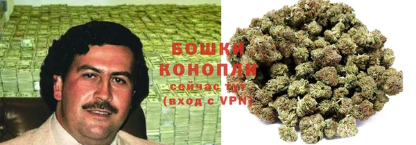 хмурый Верея