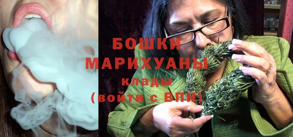 хмурый Верея