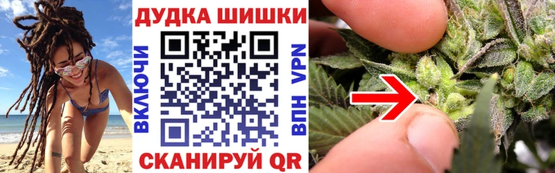 Купить  Кореновск  Бошки марихуана сатива 